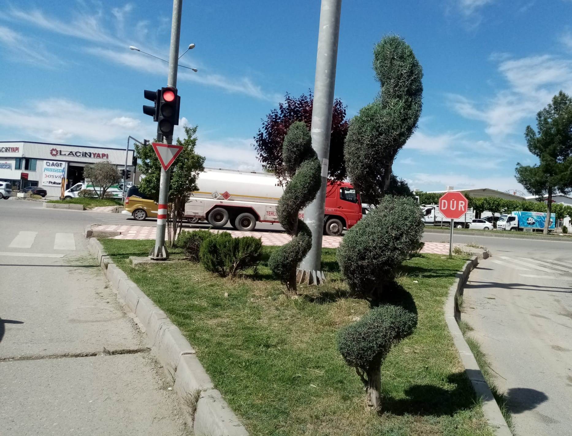 Ağaçlara estetik dokunuş