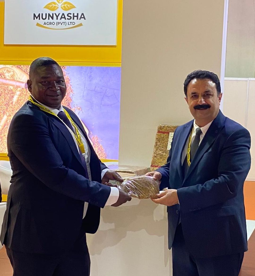 Dubai’de Batman tütününe tam not