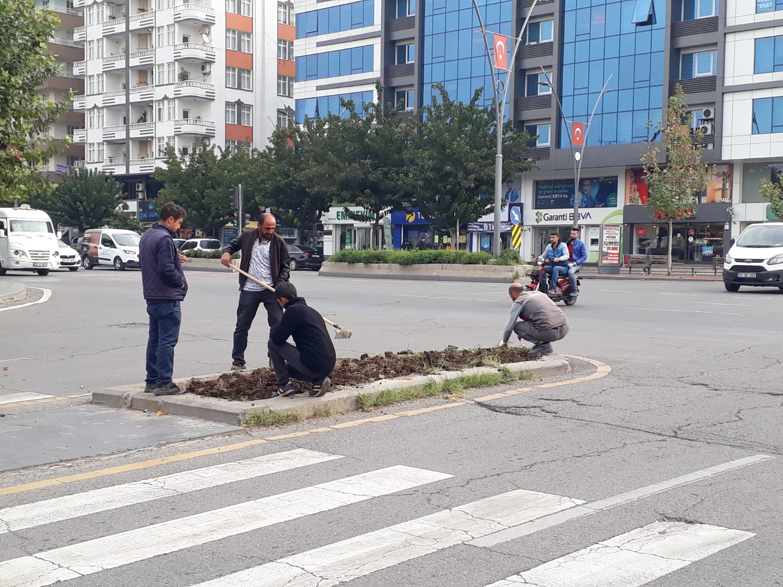 Kış çiçekleri ekimi devam ediyor