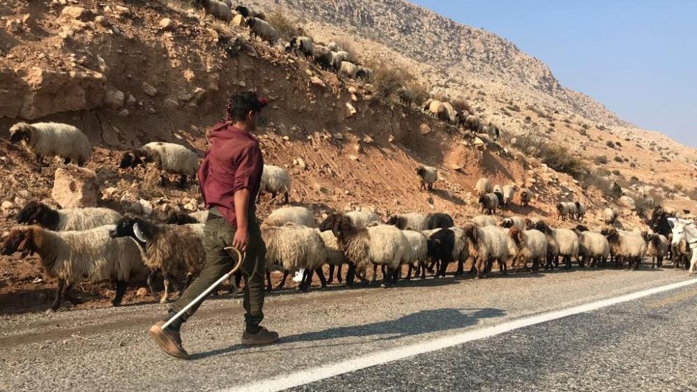 Koçerlerin dönüş yolculuğu başladı