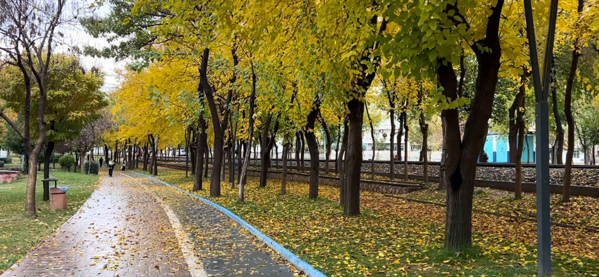 Parklarda yapraklar toplanmayacak!