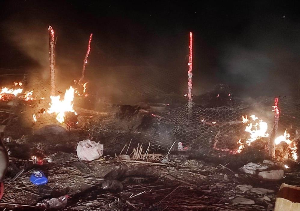 Koçer çadırı yandı; 55 koyun telef oldu