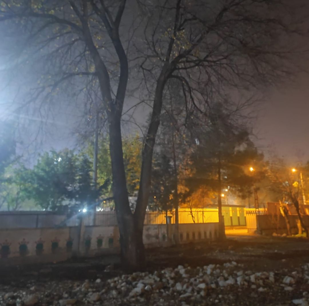 “100 yaşındaki ağaca kıyılmasın”