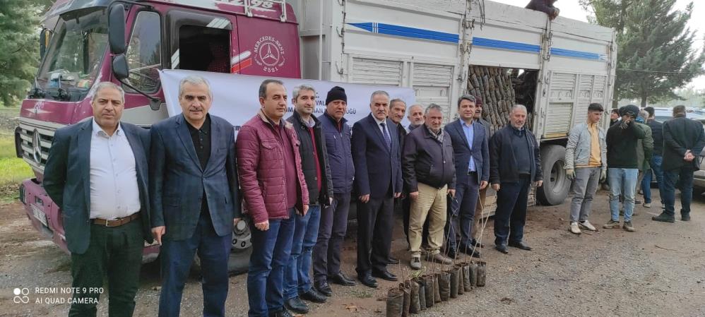 150 Bin adet Antep fıstığı fidanı dağıtıldı