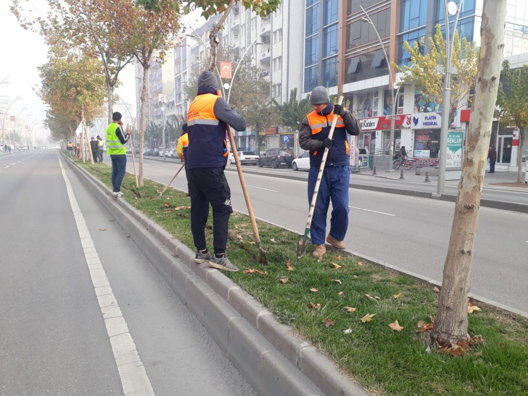 Ağaç aydınlatmaları genişletiliyor