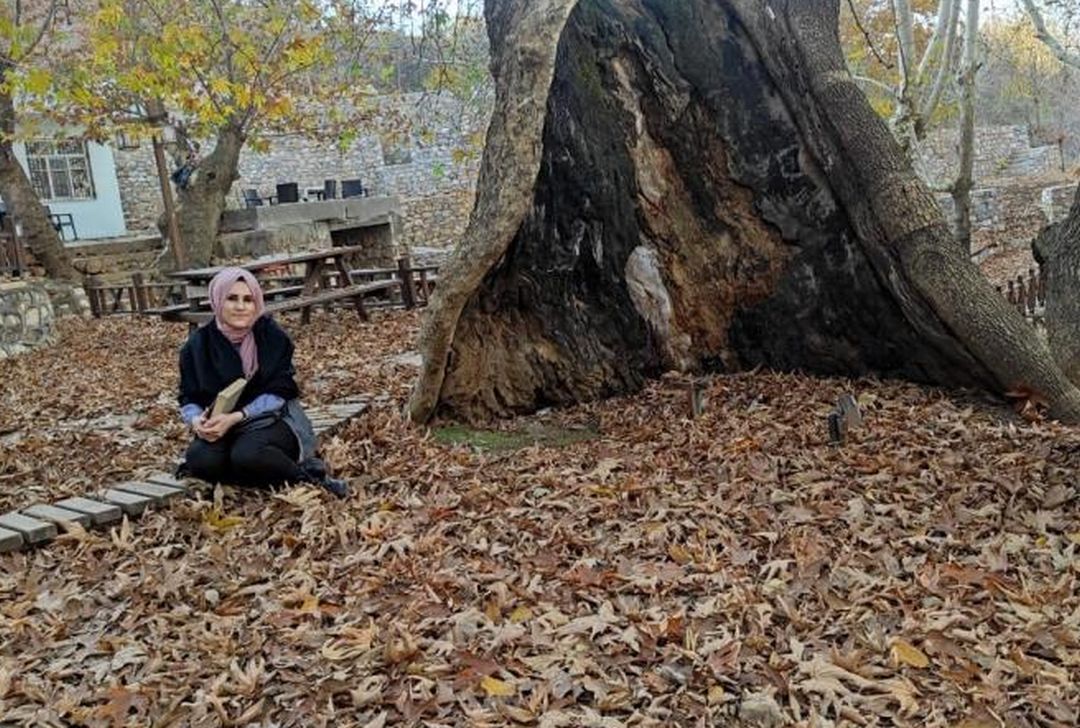 Asırlık ağaç yapraklarıyla doğal stüdyo oluşturdu