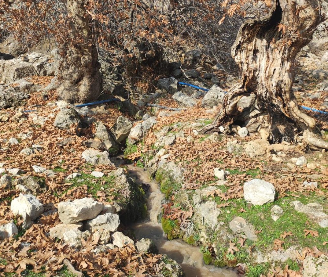 “Su kaynaklarımız kirletilmemeli”