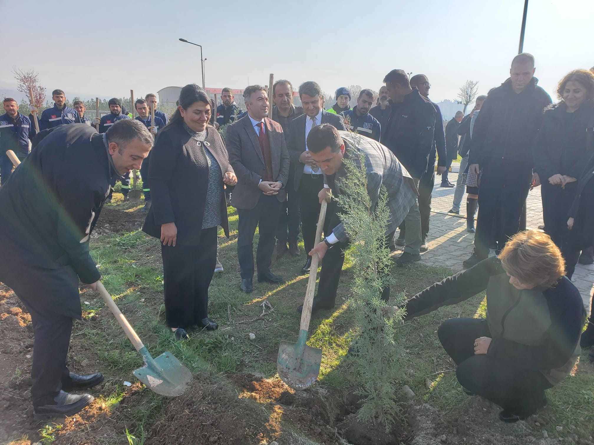 5 BİN FİDAN DİKİLDİ