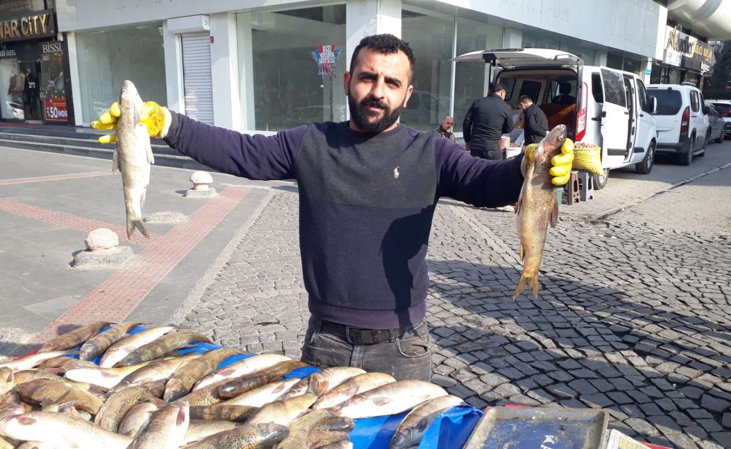 Balık var alıcı yok