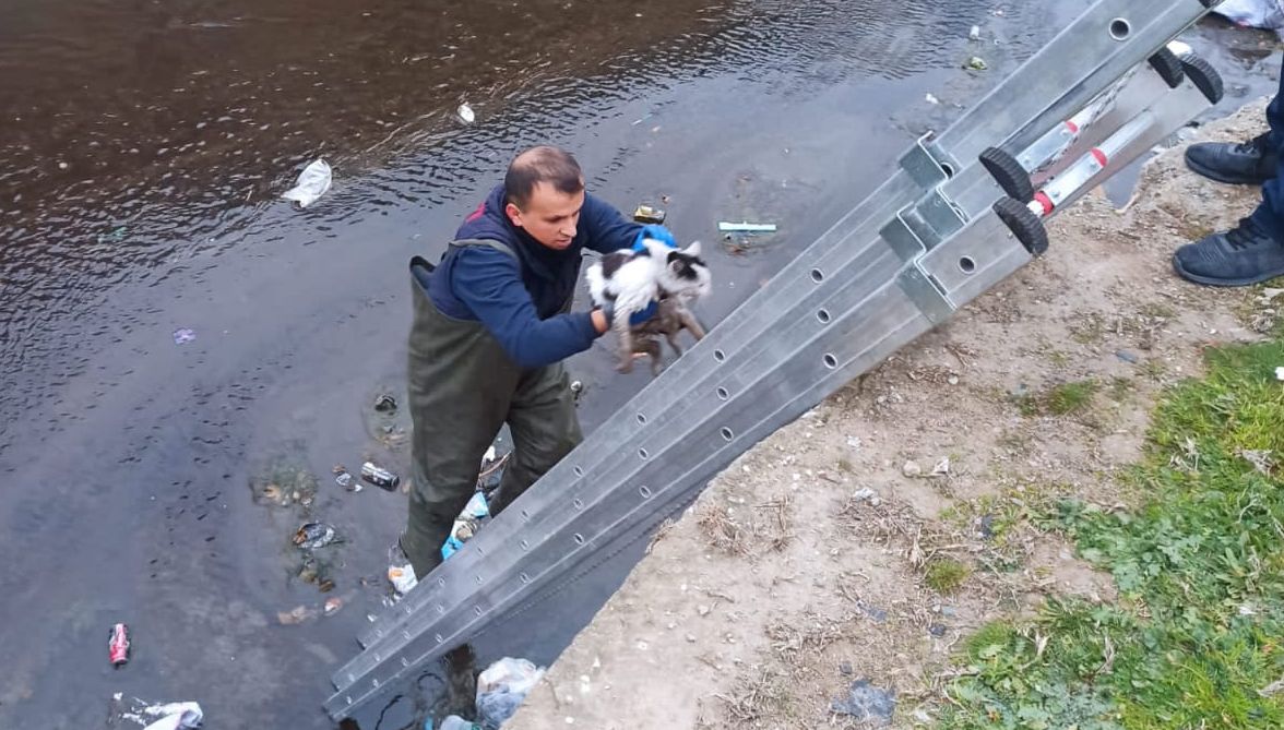 DEREDE MAHSUR KALAN KEDİ KURTARILDI