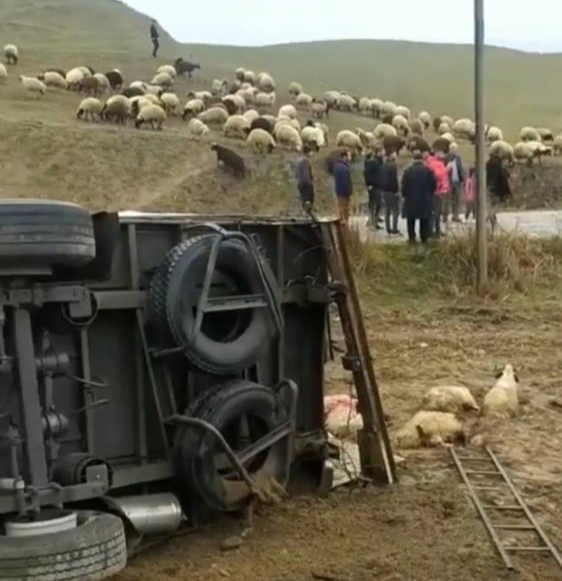 Onlarca koyun telef oldu