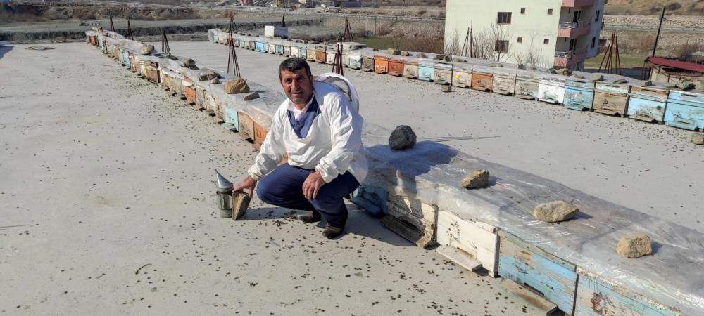 Kuraklık arıları telef ediyor