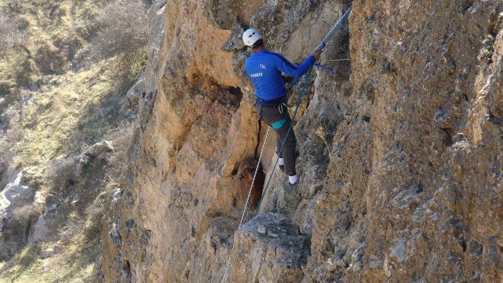 Mahsur kalan keçiyi kurtardı