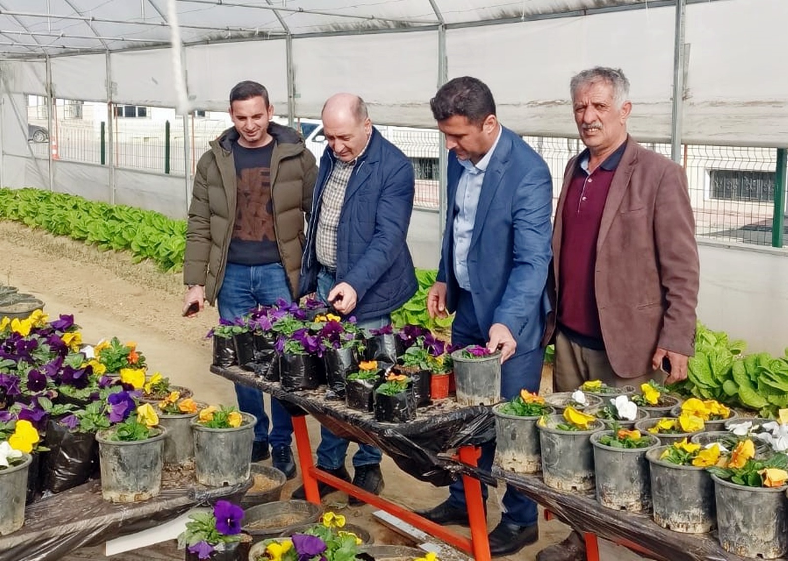 Okullarda sera ve tarım alanları yapıldı