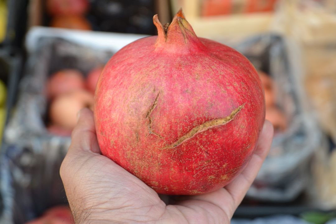 Tanesi 20 lirayı buldu