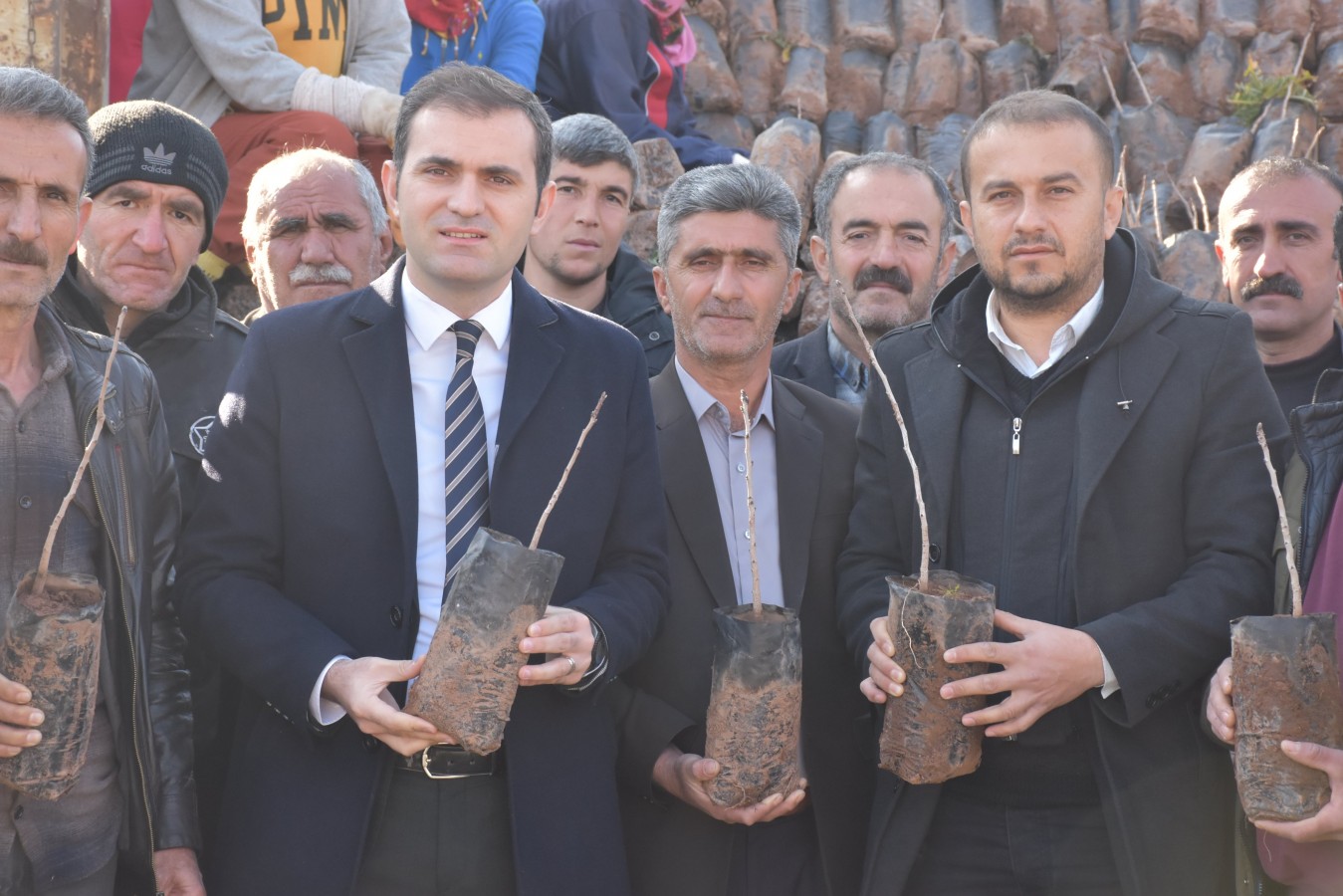 Çiftçilere 28 bin fıstık fidanı dağıtıldı