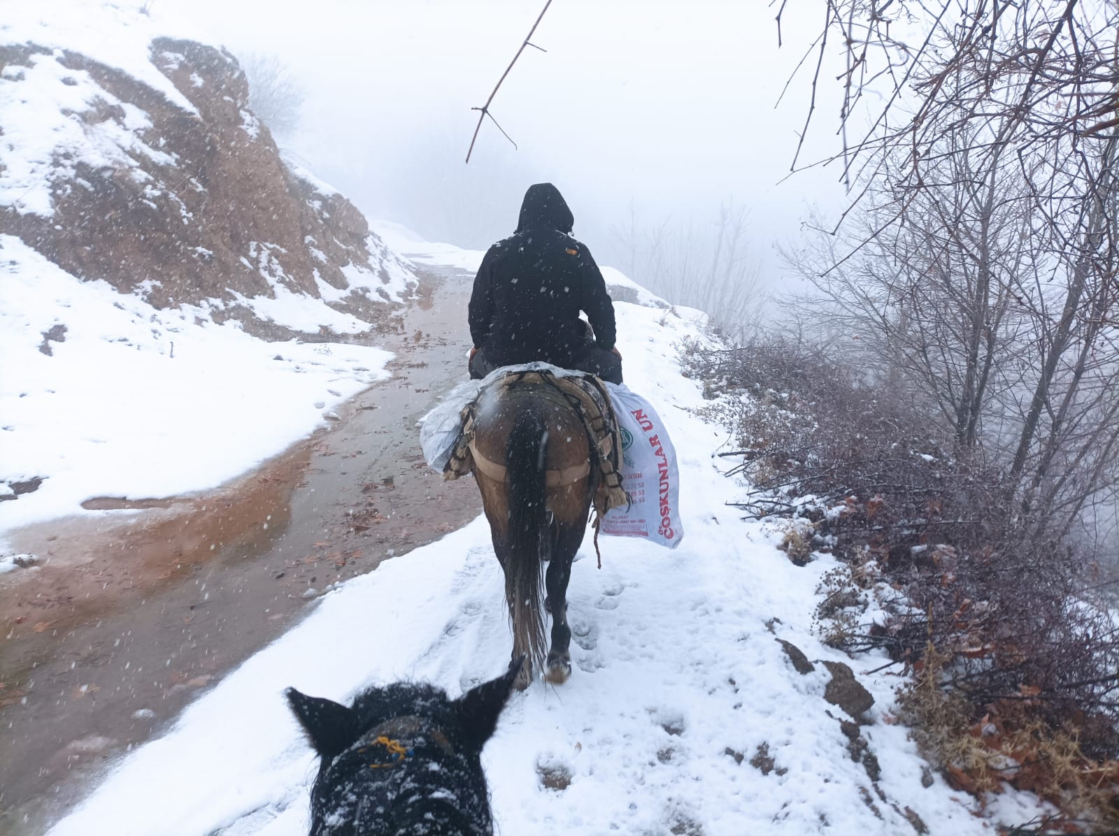 Depremzedelere katır sırtında yardım