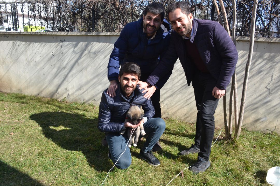 Köpeğe sahip çıktılar