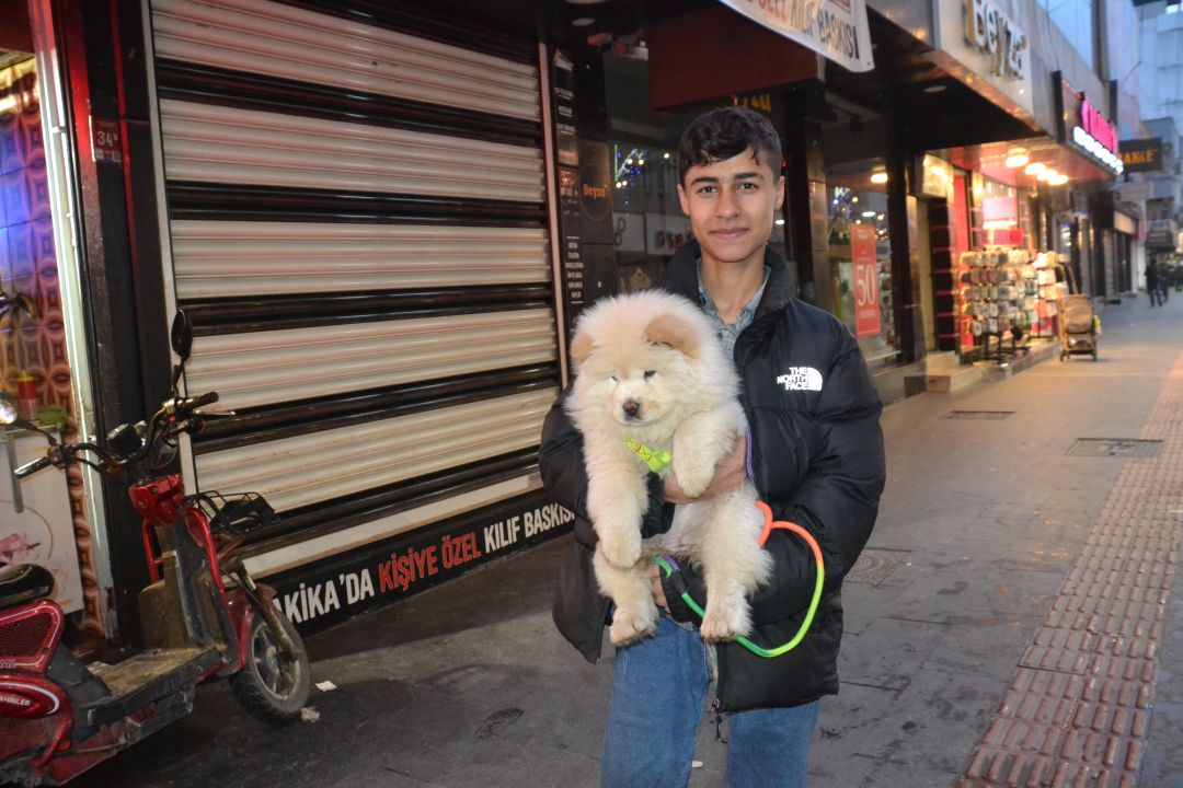 Lazy, ilgi odağı oluyor