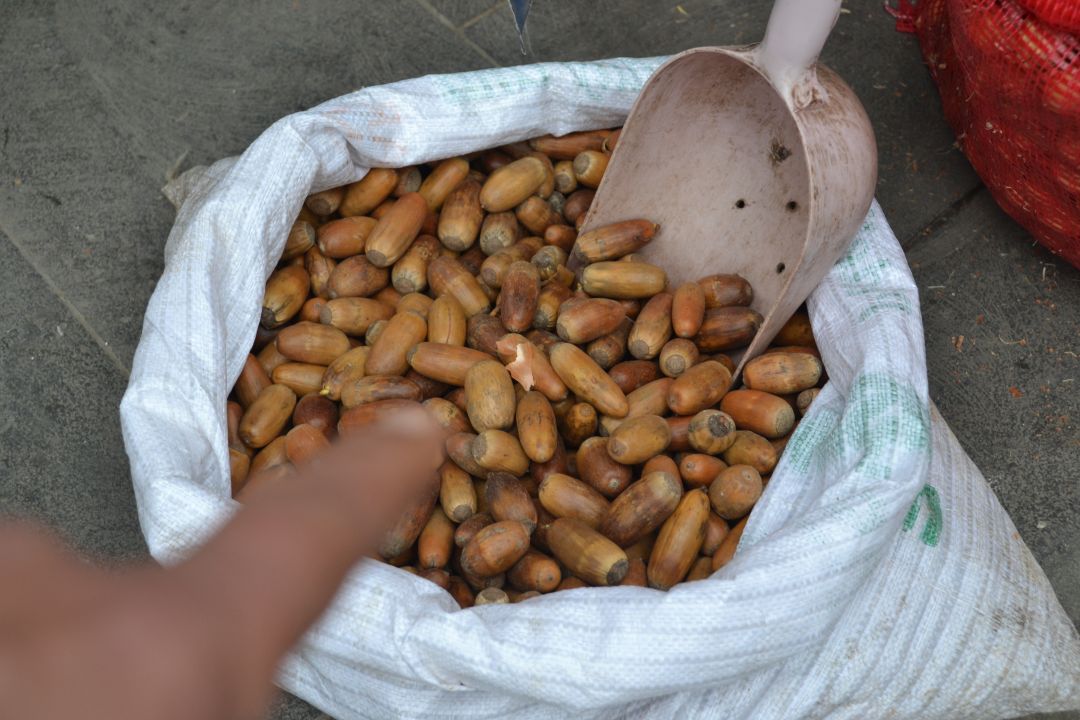 Palamudun kilosu ikiye katlandı