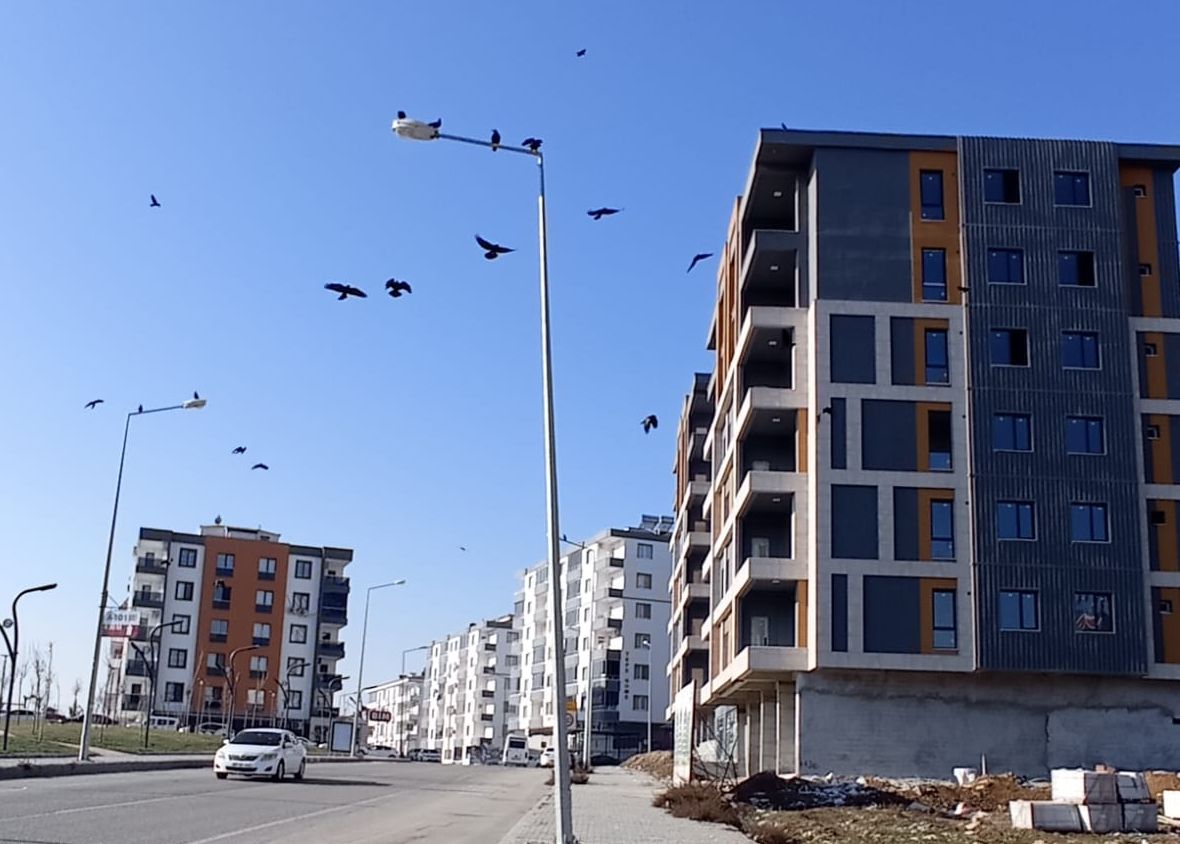 Yamuk direkler tedirgin ediyor