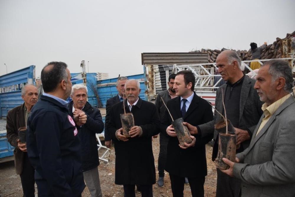 22 bin adet fıstık fidanı dağıtıldı