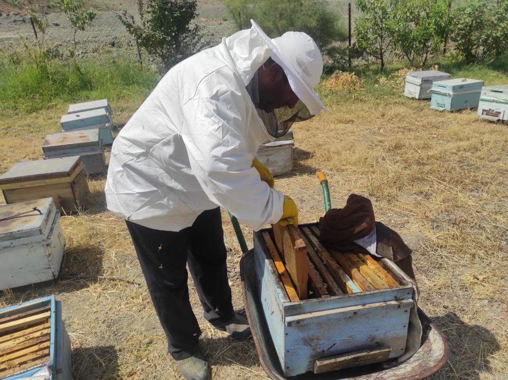 Arıcıların mesaisi başladı