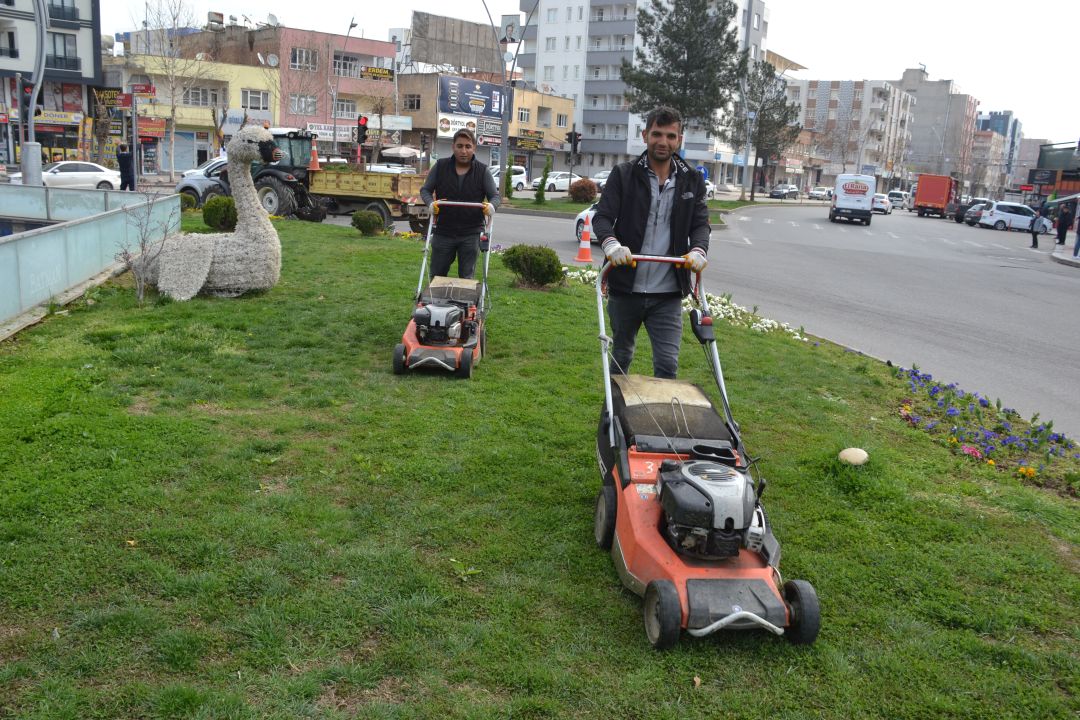 Çim biçme sezonu başladı 