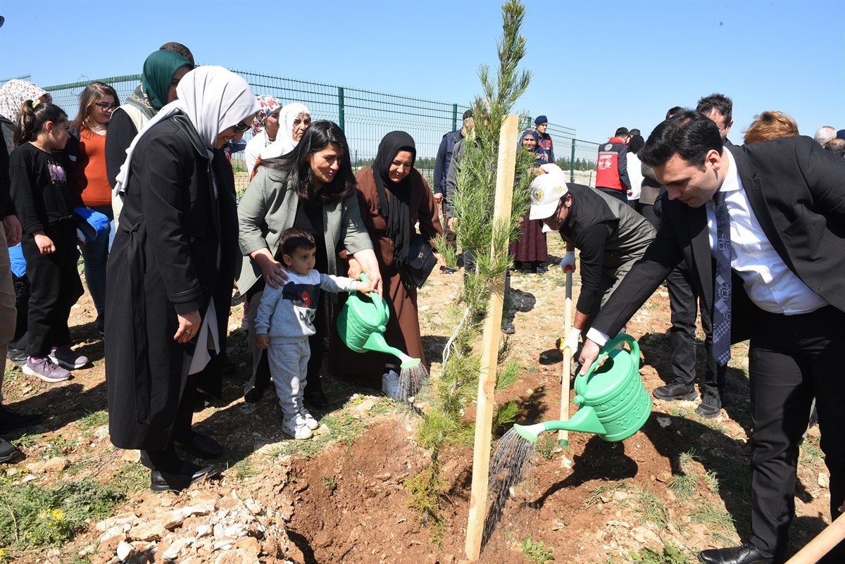 Depremzedelere ‘Hatıra Ormanı’