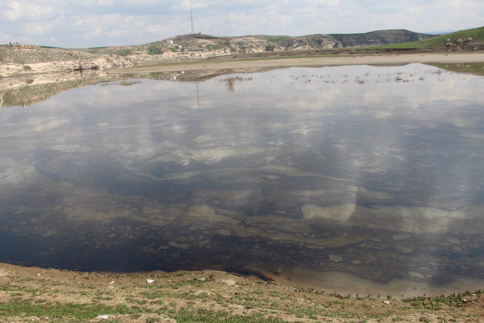Petrol sızıntısı suları siyaha bürüdü