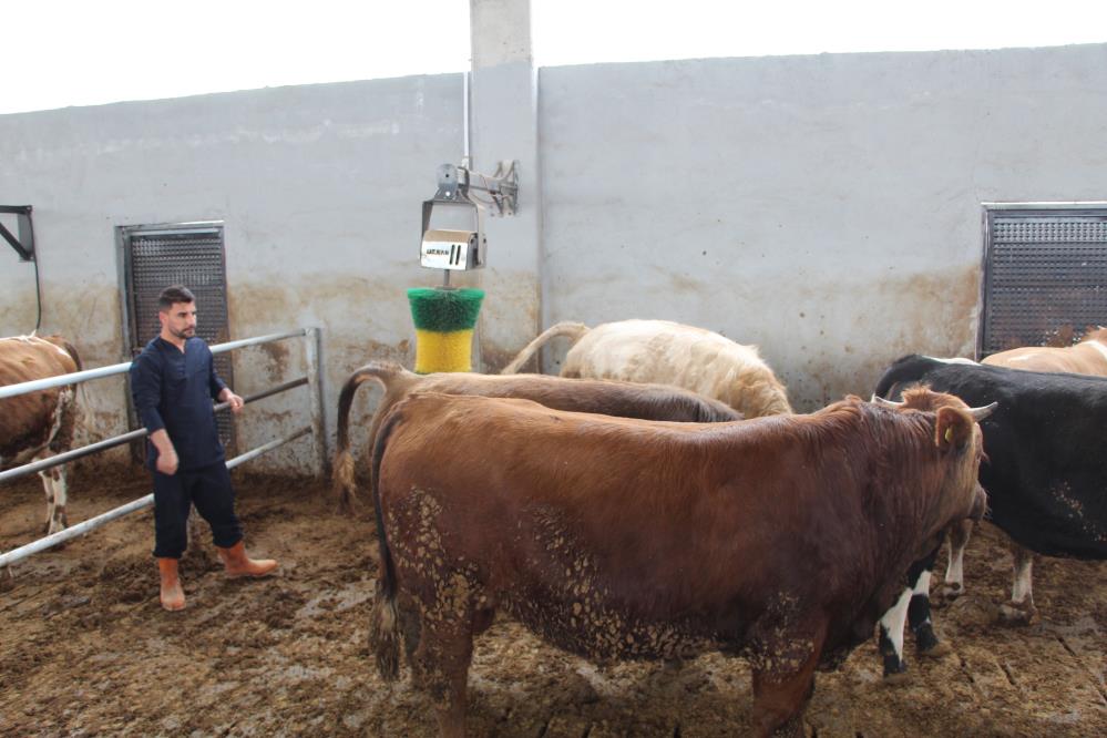 Şap hastalığı için önlemler alındı