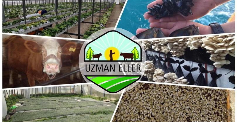  “Uzman Eller Projeleri” için başvurular başladı