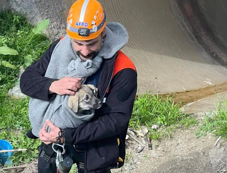 Boru içine sıkışan yavru köpek kurtarıldı