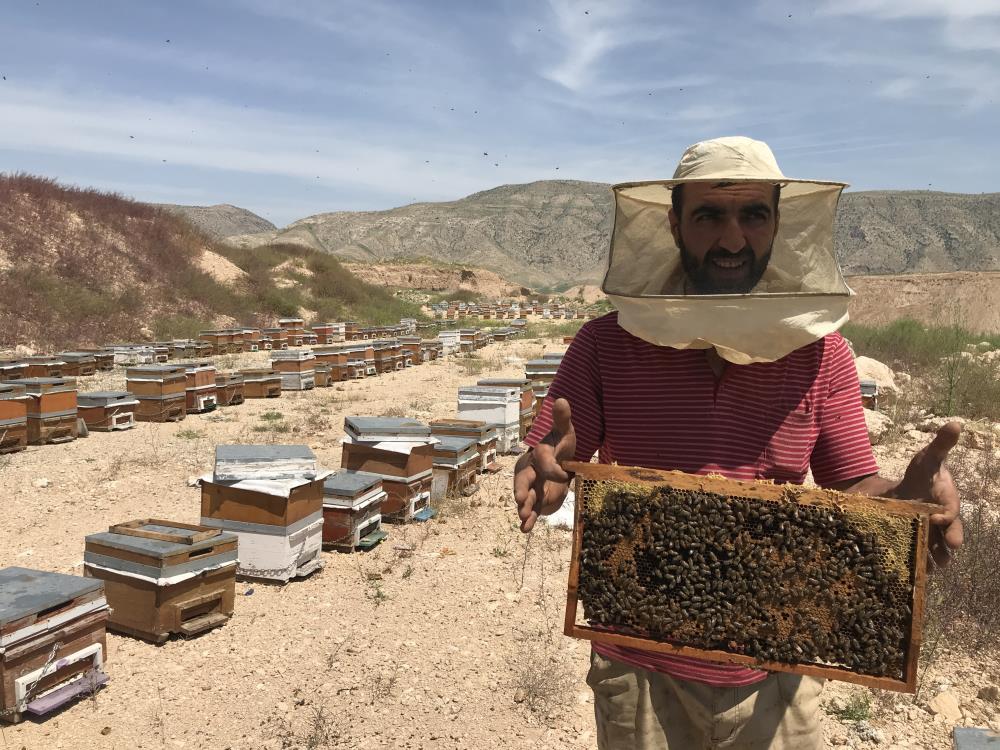 Bal arılarının yayla yolculuğu başladı