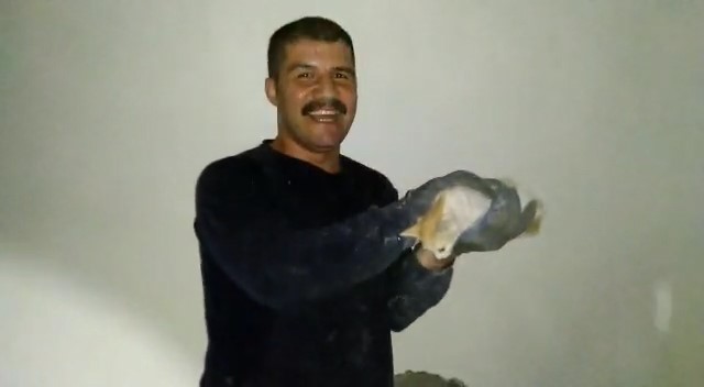 İki bina arasında sıkışan kedi kurtarıldı