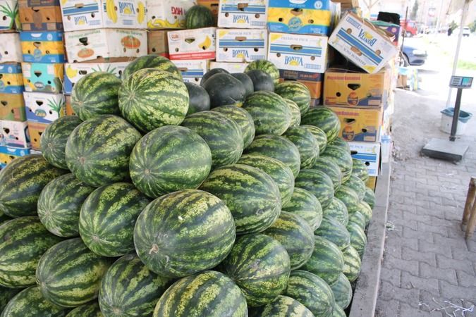 İthal İran karpuzları tezgahlarda