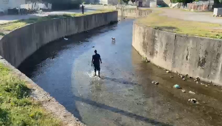 Kanala düşen kuzu kurtarıldı