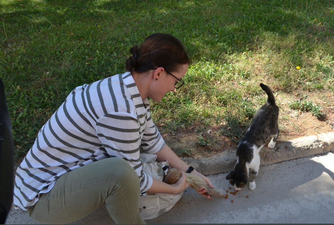 Sokak hayvanlarına gözü gibi bakıyor