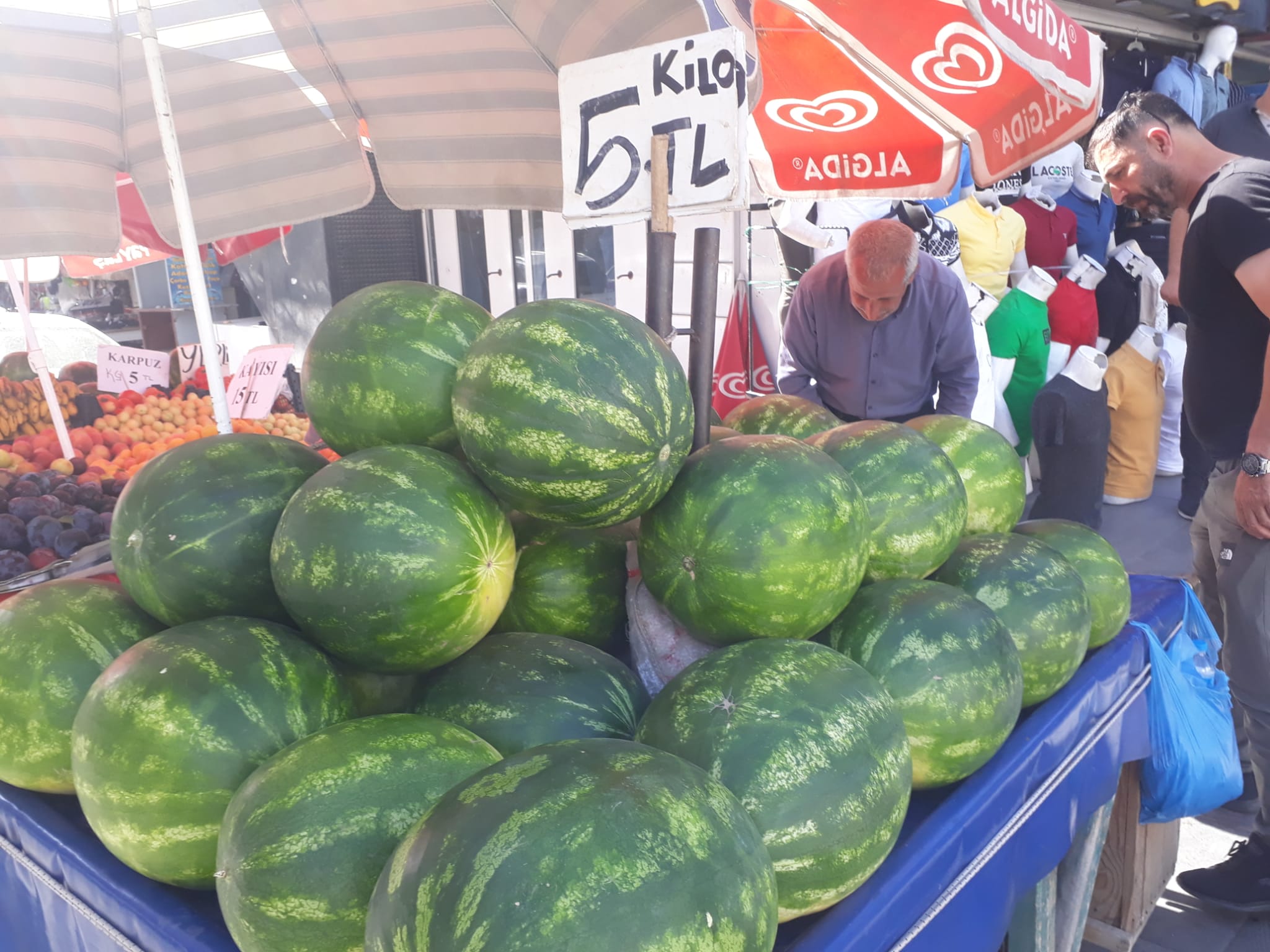 Adana ve İran karpuzları  tezgahlarda