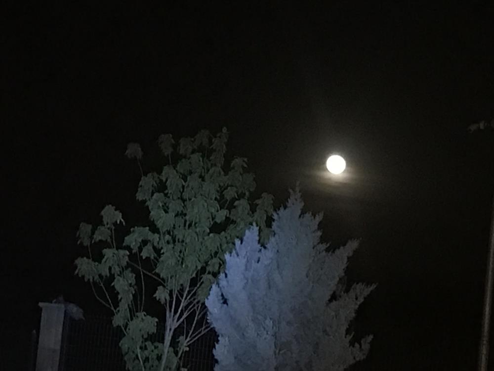 Dolunay görsel şölen oluşturdu