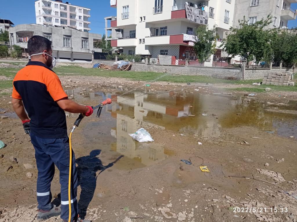İlaçlama ekipleri iş başında