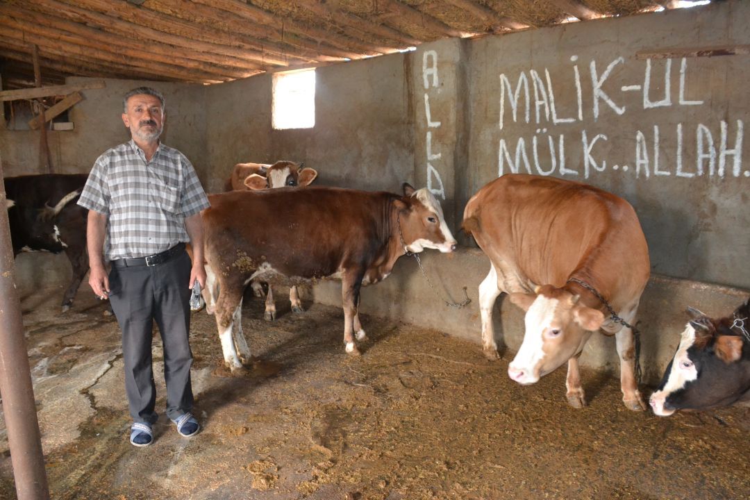 Fiyatını duyan vazgeçiyor