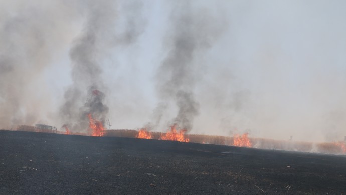 100 Dönümlük buğday yandı