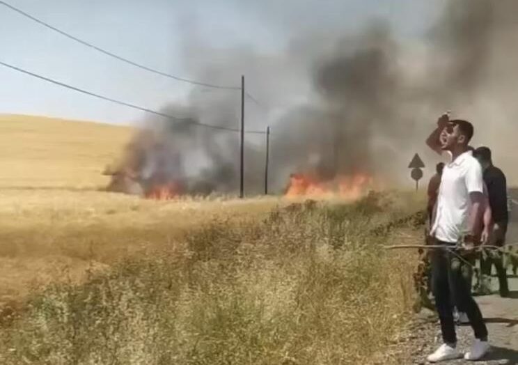 Buğday tarlası küle döndü