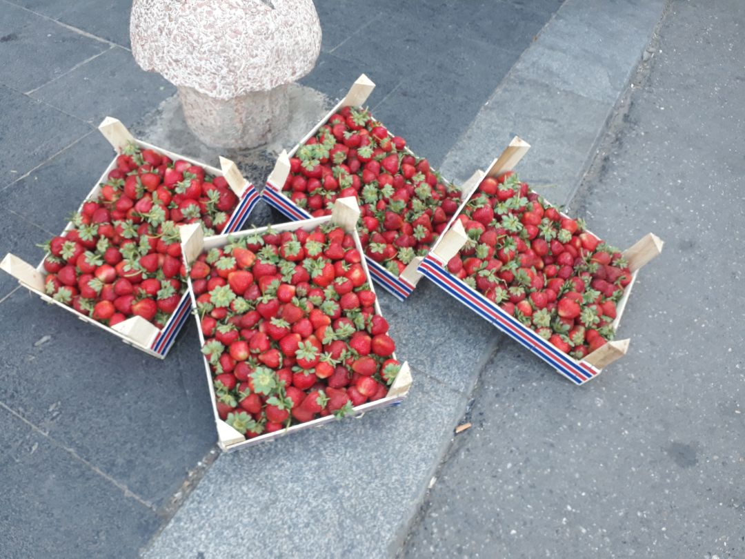 “Çileğin tarladaki fiyatı 25 lira”