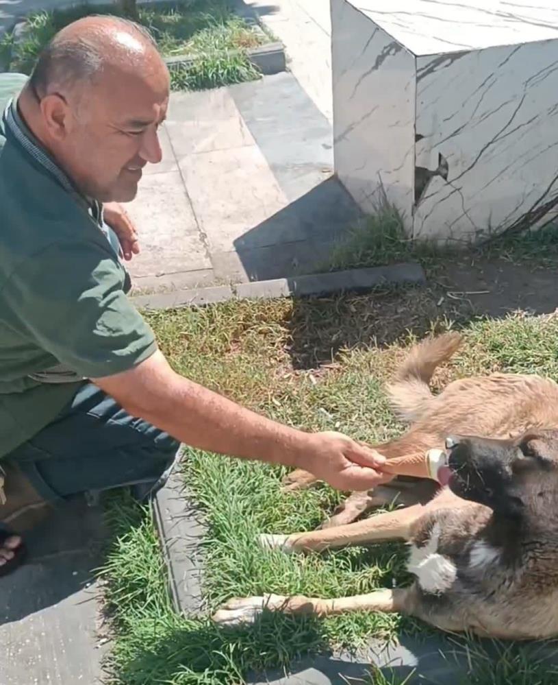İkram edilen dondurmayı geri çevirmedi