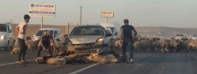 OSB yolunda kazasız gün yok