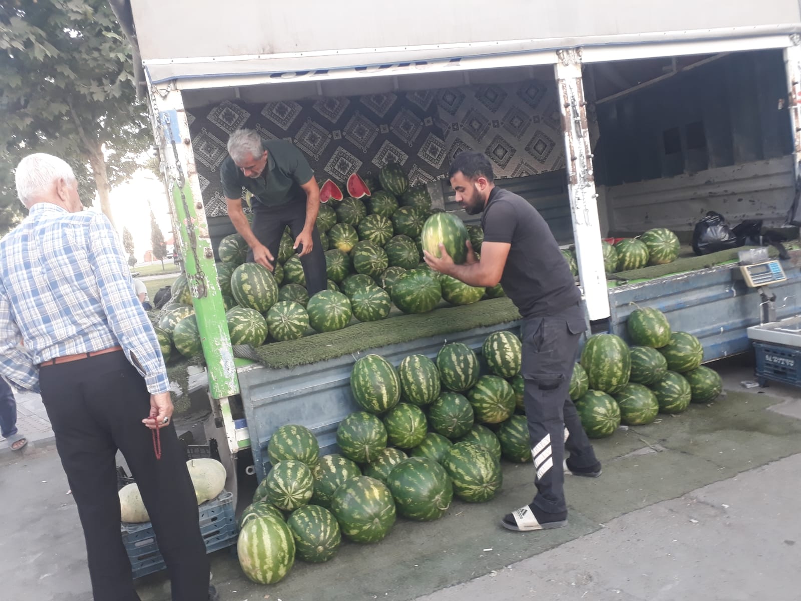 Tokat karpuzlarına yoğun ilgi