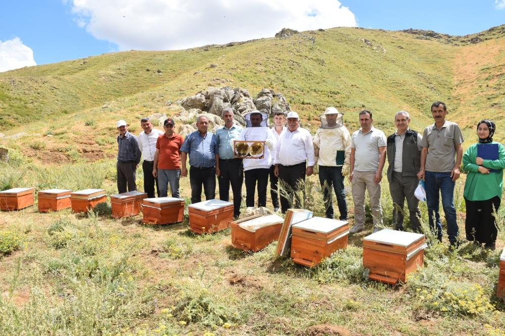 Üreticilere deneme amaçlı kovan