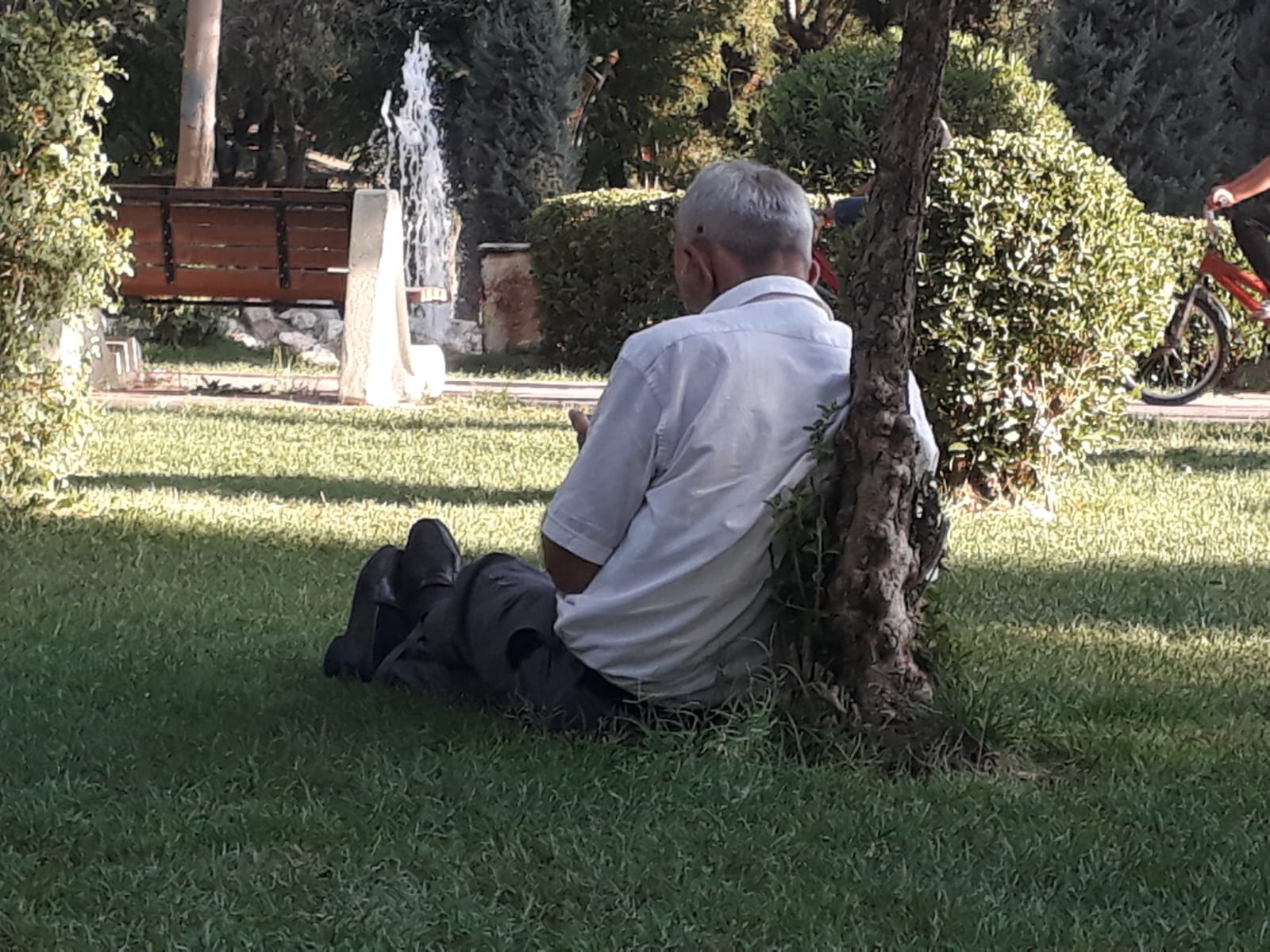 Ağaç gölgesine sığındı